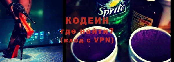 мдпв Ельня