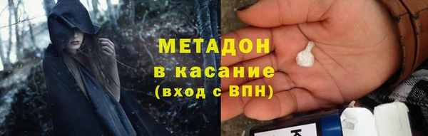 мдпв Ельня