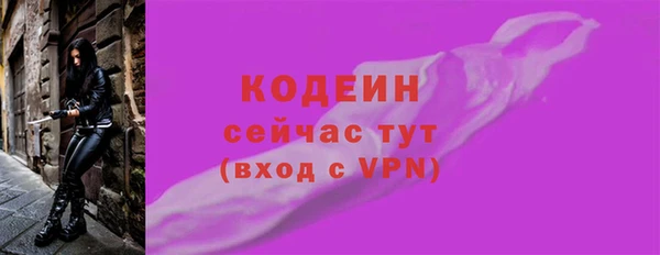 мдпв Ельня