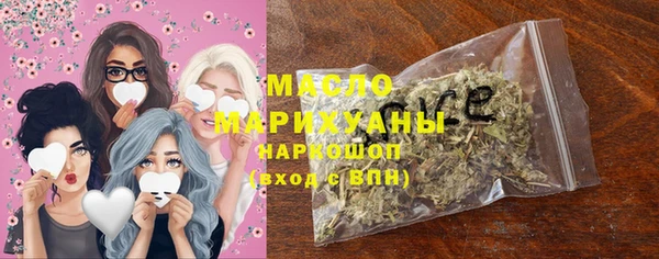 мдпв Ельня