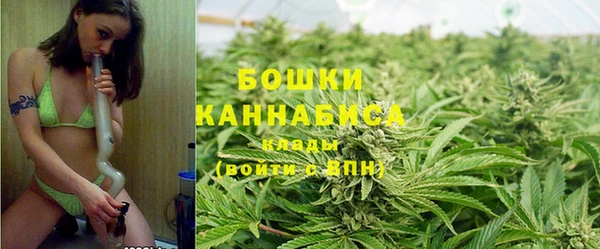 мдпв Ельня