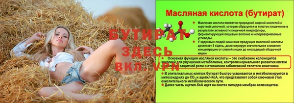 мдпв Ельня