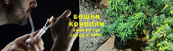 мдпв Ельня