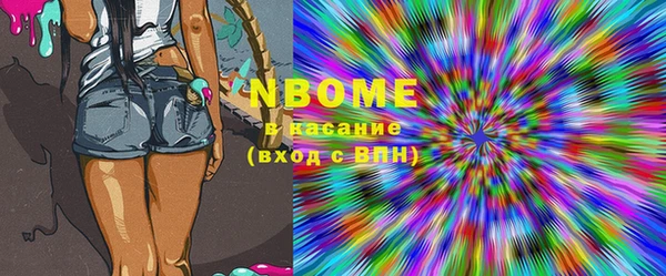 мдпв Ельня
