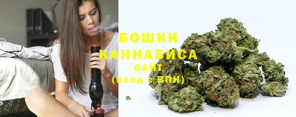 мдпв Ельня